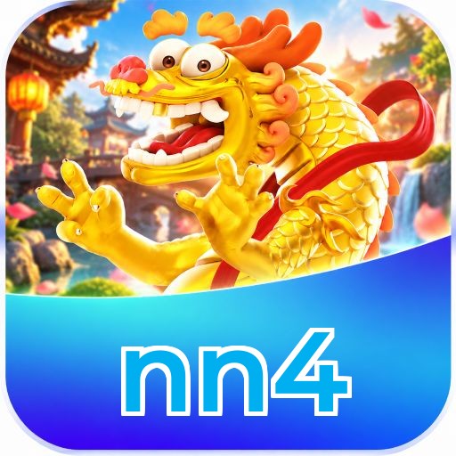 nn4 Interface